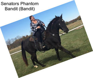 Senators Phantom Bandit (Bandit)