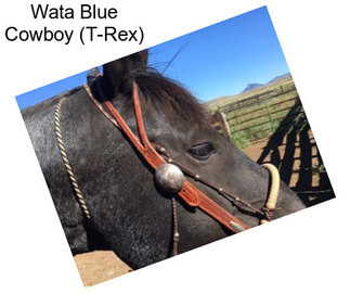 Wata Blue Cowboy (T-Rex)