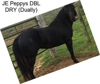 JE Peppys DBL DRY (Dually)