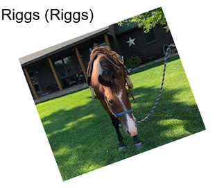 Riggs (Riggs)