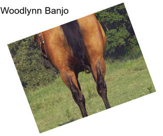 Woodlynn Banjo