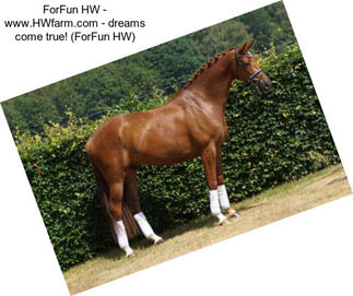 ForFun HW - www.HWfarm.com - dreams come true! (ForFun HW)