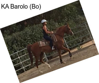 KA Barolo (Bo)
