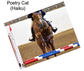 Poetry Cat (Haiku)