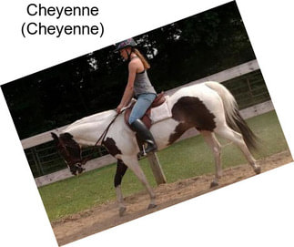 Cheyenne (Cheyenne)