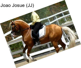 Joao Josue (JJ)