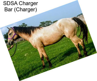 SDSA Charger Bar (Charger)