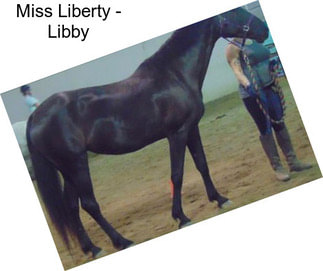 Miss Liberty - Libby