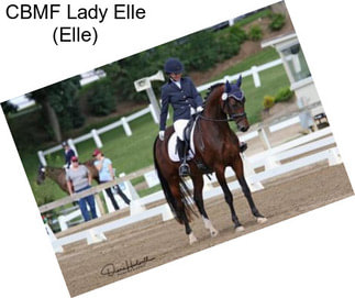 CBMF Lady Elle (Elle)