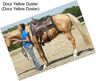 Docs Yellow Duster (Docs Yellow Duster)