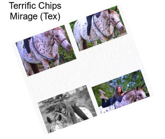 Terrific Chips Mirage (Tex)