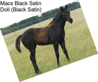 Macs Black Satin Doll (Black Satin)