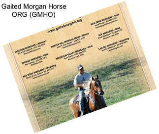 Gaited Morgan Horse ORG (GMHO)