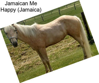 Jamaican Me Happy (Jamaica)