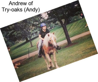 Andrew of Try-oaks (Andy)