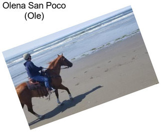 Olena San Poco (Ole)