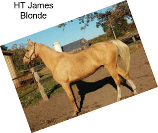 HT James Blonde
