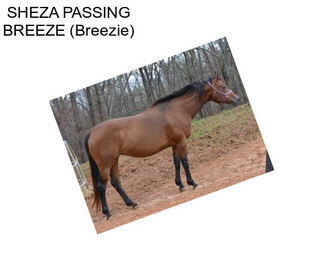 SHEZA PASSING BREEZE (Breezie)