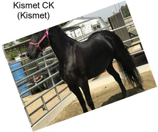 Kismet CK (Kismet)