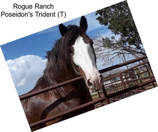 Rogue Ranch Poseidon\'s Trident (T)
