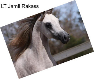 LT Jamil Rakass