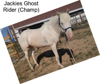 Jackies Ghost Rider (Champ)