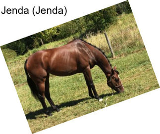 Jenda (Jenda)
