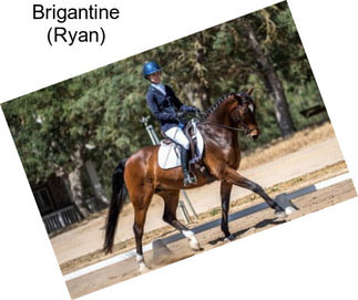 Brigantine (Ryan)