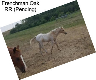 Frenchman Oak RR (Pending)