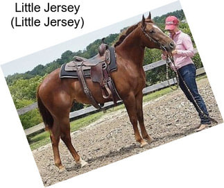 Little Jersey (Little Jersey)