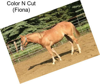 Color N Cut (Fiona)