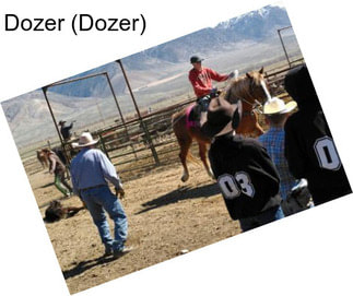 Dozer (Dozer)