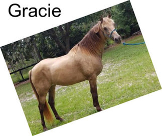 Gracie