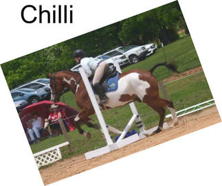 Chilli