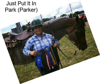 Just Put It In Park (Parker)