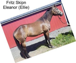 Fritz Skipn Eleanor (Ellie)