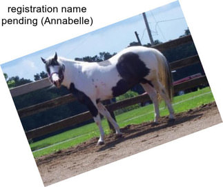 Registration name pending (Annabelle)