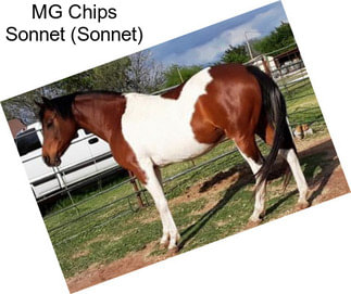 MG Chips Sonnet (Sonnet)