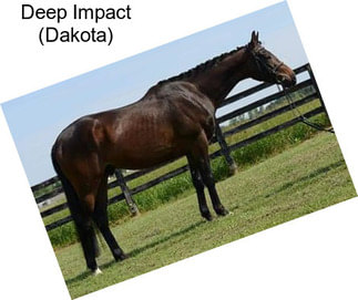 Deep Impact (Dakota)