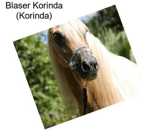 Blaser Korinda (Korinda)