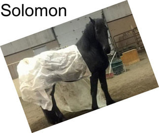 Solomon