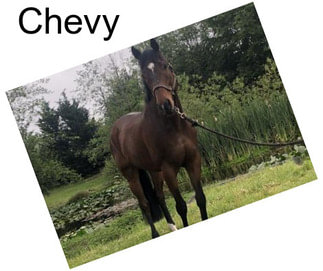 Chevy