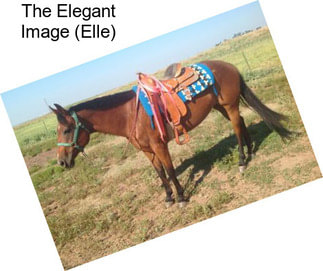 The Elegant Image (Elle)
