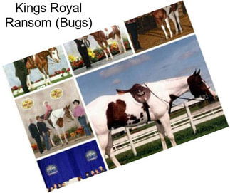 Kings Royal Ransom (Bugs)