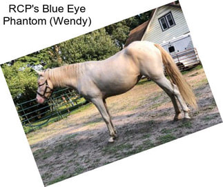 RCP\'s Blue Eye Phantom (Wendy)