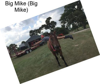 Big Mike (Big Mike)