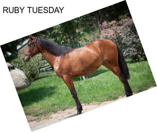 RUBY TUESDAY