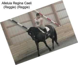 Alleluia Regina Caeli (Reggie) (Reggie)