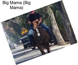 Big Mama (Big Mama)