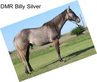DMR Billy Silver